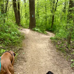 Cabin John Regional Park - Bethesda