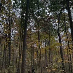Cabin John Regional Park - Bethesda
