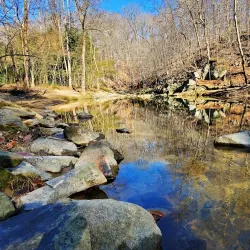 Cabin John Regional Park - Bethesda