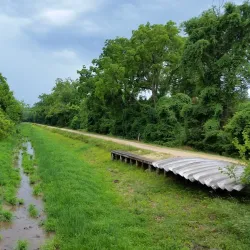 Capital Crescent Trail - Bethesda