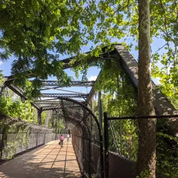 Capital Crescent Trail - Bethesda