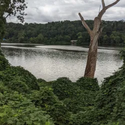 Capital Crescent Trail - Bethesda