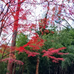 Capital Crescent Trail - Bethesda