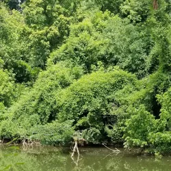 Capital Crescent Trail - Bethesda