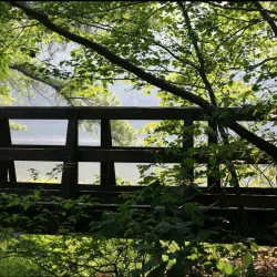 Bowie Nature Park - Bowie