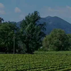 Napa Valley - California