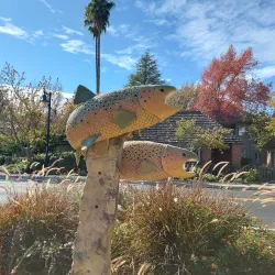 Napa Valley - California