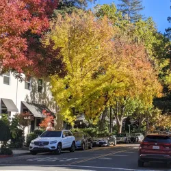 Napa Valley - California