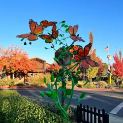 Napa Valley - California