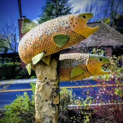 Napa Valley - California