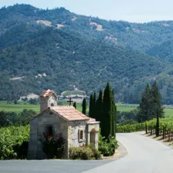 Napa Valley - California