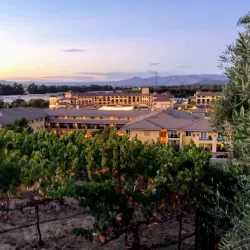 Napa Valley - California