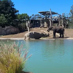 San Diego Zoo - California