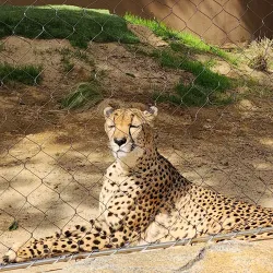 San Diego Zoo - California
