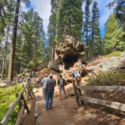 Sequoia and Kings Canyon National Parks - California