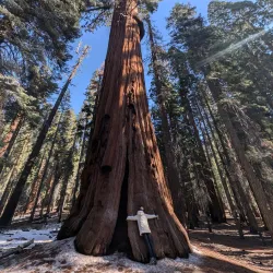 Sequoia and Kings Canyon National Parks - California