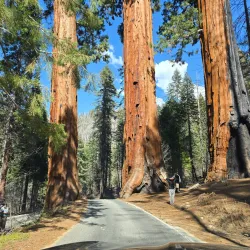 Sequoia and Kings Canyon National Parks - California