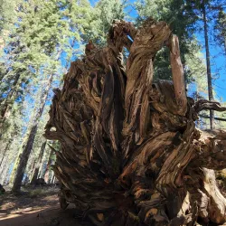 Sequoia and Kings Canyon National Parks - California