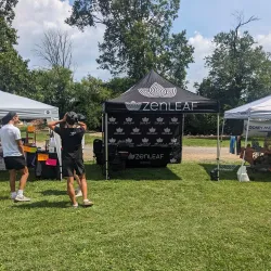 Catonsville Arts and Crafts Festival - Catonsville