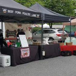 Catonsville Farmers Market - Catonsville
