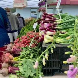 Catonsville Farmers Market - Catonsville