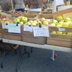 Catonsville Farmers Market - Catonsville