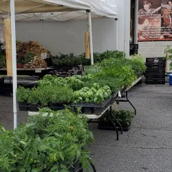 Catonsville Farmers Market - Catonsville