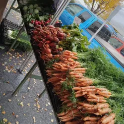 Catonsville Farmers Market - Catonsville