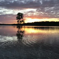 Loch Raven Reservoir - Catonsville