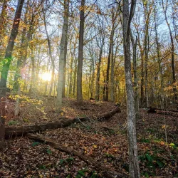 Patapsco Valley State Park - Catonsville