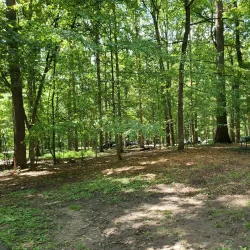 Patapsco Valley State Park - Catonsville