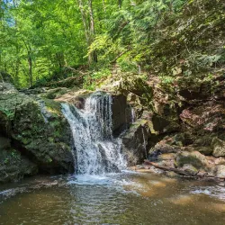 Patapsco Valley State Park - Catonsville