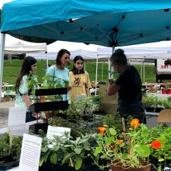 College Park Farmers Market - College Park