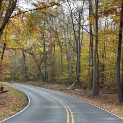 Greenbelt Park - College Park