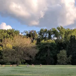 Greenbelt Park - College Park