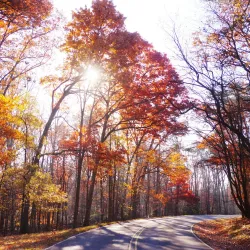 Greenbelt Park - College Park