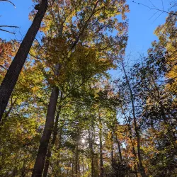 Greenbelt Park - College Park