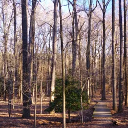 Greenbelt Park - College Park
