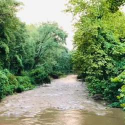 Lake Artemesia Natural Area - College Park