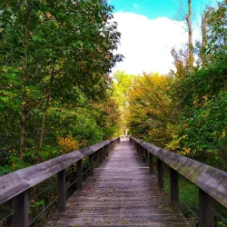 Paint Branch Trail - College Park