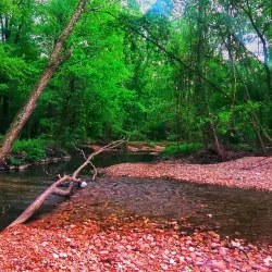 Paint Branch Trail - College Park