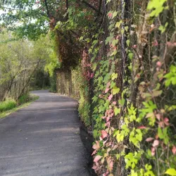 Paint Branch Trail - College Park