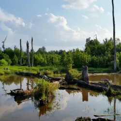 Paint Branch Trail - College Park