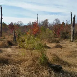 Paint Branch Trail - College Park