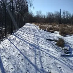 Paint Branch Trail - College Park