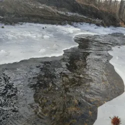Paint Branch Trail - College Park