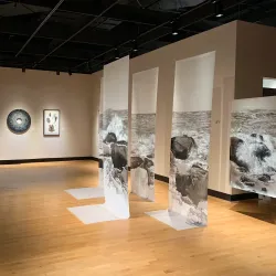 University of Maryland Art Gallery - College Park