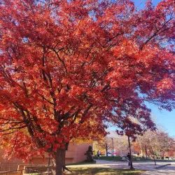 University of Maryland Art Gallery - College Park