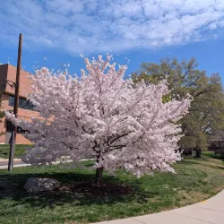 University of Maryland Art Gallery - College Park