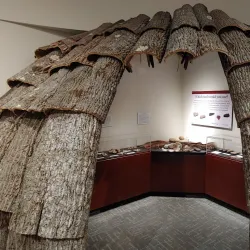 Allegany County Museum - Cumberland